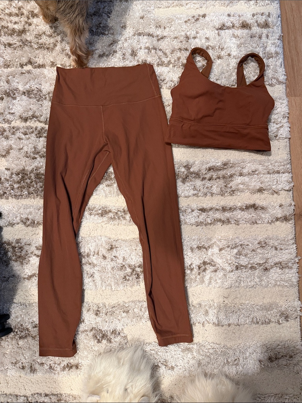 High-Waist Ribbed Leggings & Crop Sports Bra Set - Brown size 6